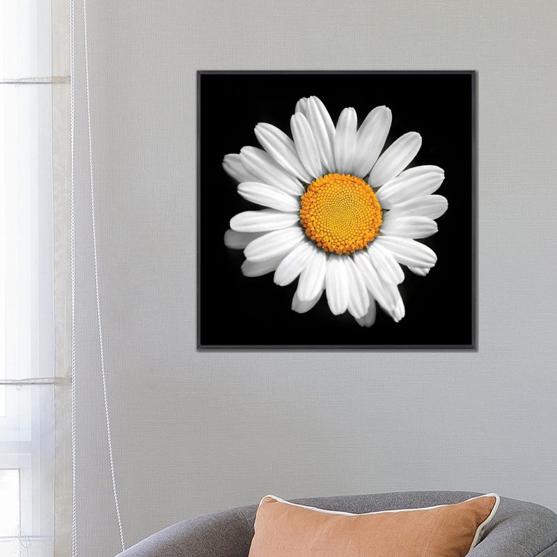 «There Is a Sun in Every Flower» par Ben Heine - impression d'art graphique, H 26 po x l 26 po x P 1,5 po, Pas de tapis