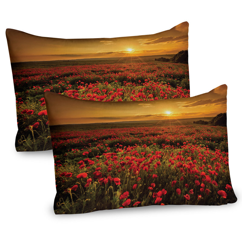 Ensemble de 2 taies décoratives Ambesonne Poppy, H 20 po x l 36 po