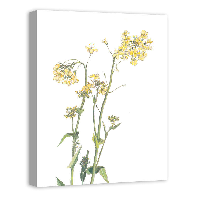 «Yellow and Green Floral Botanicals», reproduction sur toile, H 30 po x l 24 po, Encadré