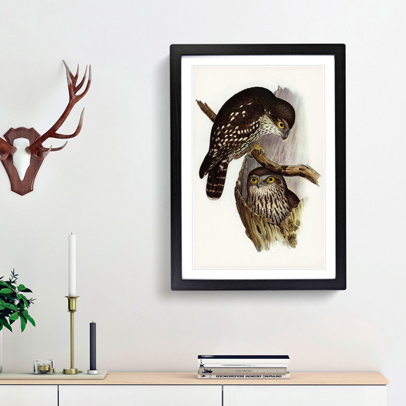 Winking Owls by Elizabeth Gould - Picture Frame Painting Print, 48cm H x 36cm W x 2cm D, Black Framed