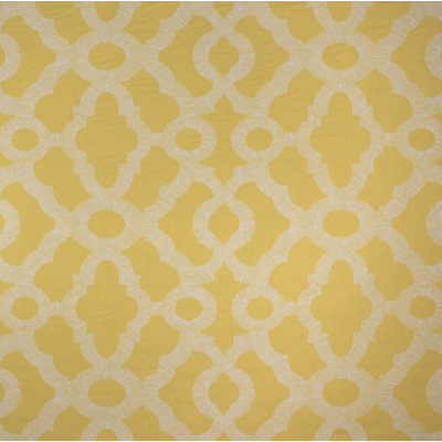 Penfield Fabric