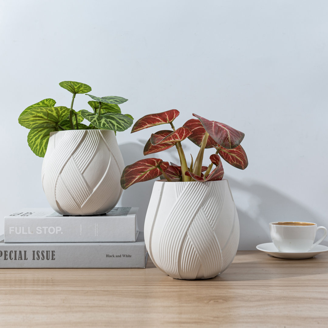 2 Piece Indoor Small Flower Pot Planters (Set of 2) Wrought Studio™