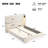 Upholstered Bed Frame with High Wingback Headboard,Reading Lamp and USB port-1573221753
