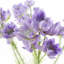 Plastic, Silk Artificial Arrangement