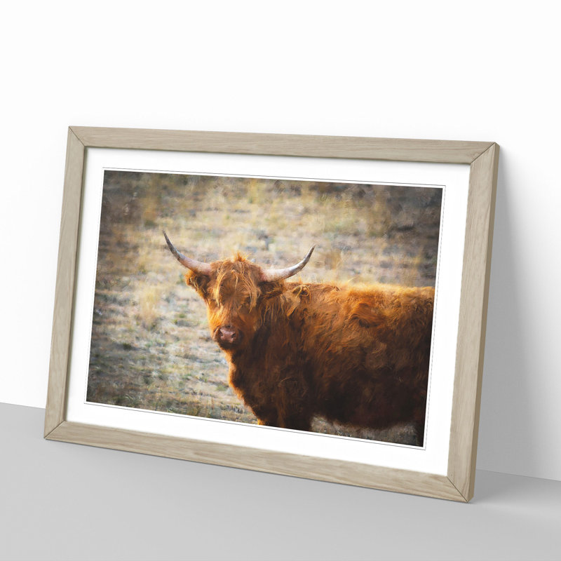 Highland Bull Cow Vol.2 - Framed Print, 27cm H x 36cm W x 2cm D, Oak Framed