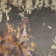 Roxy Fabric