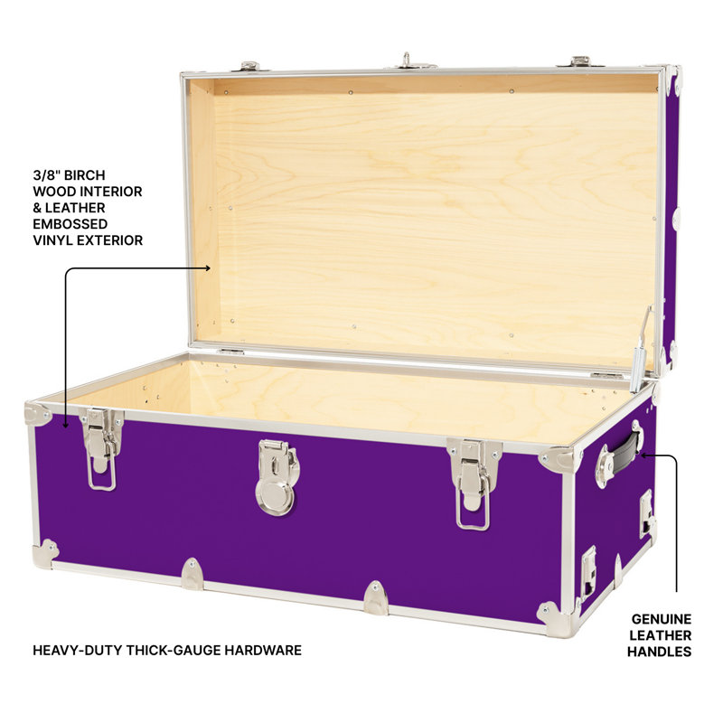 Grand coffre de rangement Rhino, Purple
