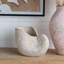 JardiniÃ¨re en forme de coquille de nautile aux finitions dÃ©taillÃ©es et Ã  la texture beige, idÃ©ale pour une dÃ©coration de style cÃ´tier et pour accueillir toutes sortes de plantes