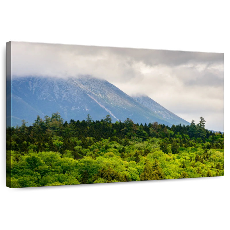 Alvord Mt. Katahdin Lush Forest, 30" H x 45" W