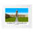 White Wood Frame selected