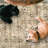 Myshawn Dua Distressed Border Brown Gray Beige Machine Washable Area Rug-1789711987