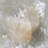 Calcite and Amethyst.