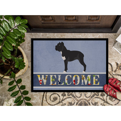Non-Slip Outdoor Doormat