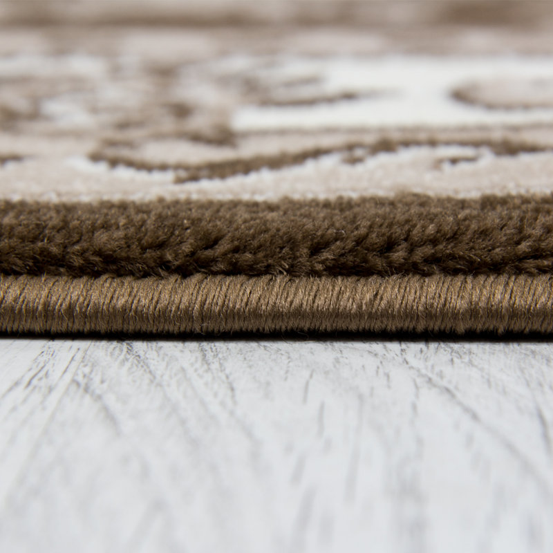 Chamblin Oriental Area Rug, Rectangle 80 x 150cm