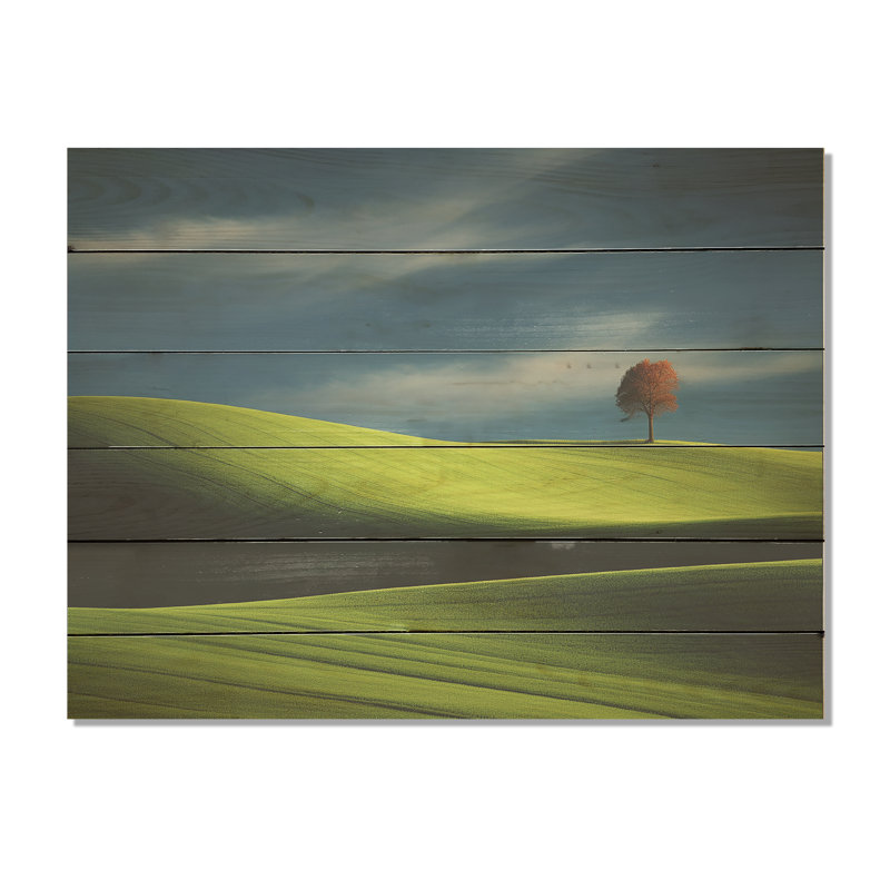 Photo de prairie monochrome verte I - Art sur bois de pin naturel, H 24 po x l 32 po