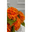 Grand hortensias orange d'automne dans un vase en verre - arrangement floral artificiel pour la décoration intérieure
