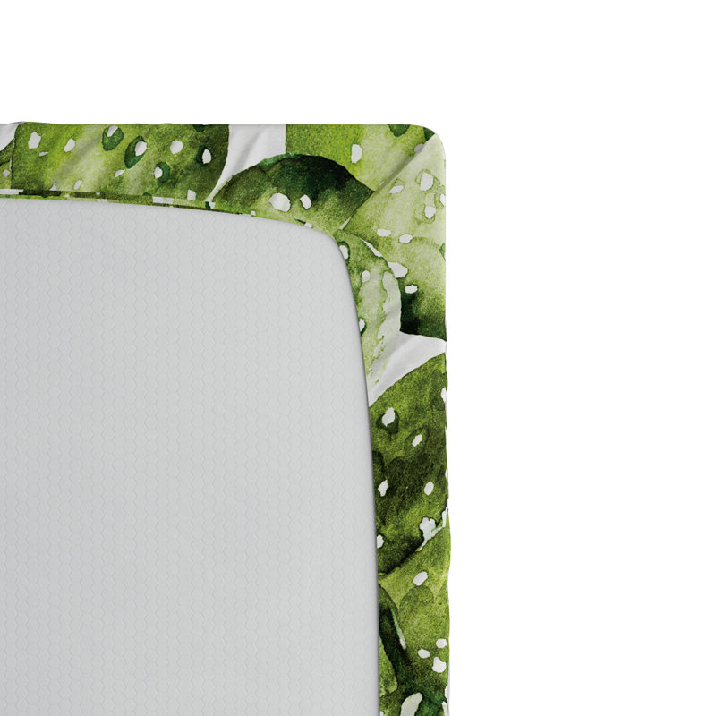 Drap-housse en microfibre Cactus, Drap-housse simple TG