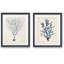 Reproduction d’art encadrée, "graphique 1", ensemble de 2 reproductions d’art sur papier