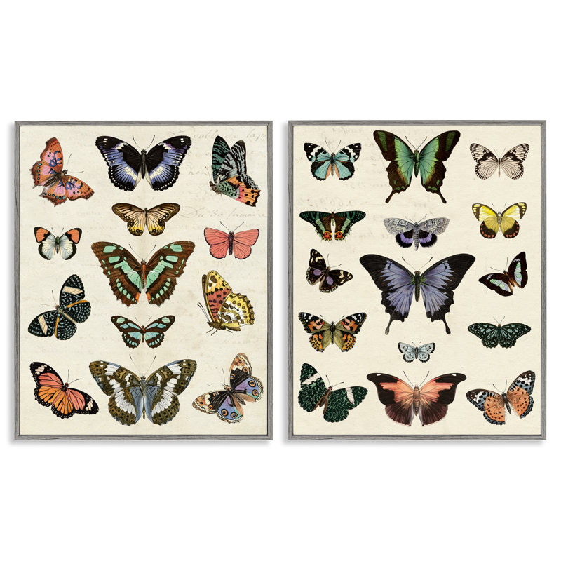  Collection de 2 giclées Antique Butterfly Collection par Susan Arnot, H 14 po x l 11 po, Estampe numérique Farmhouse