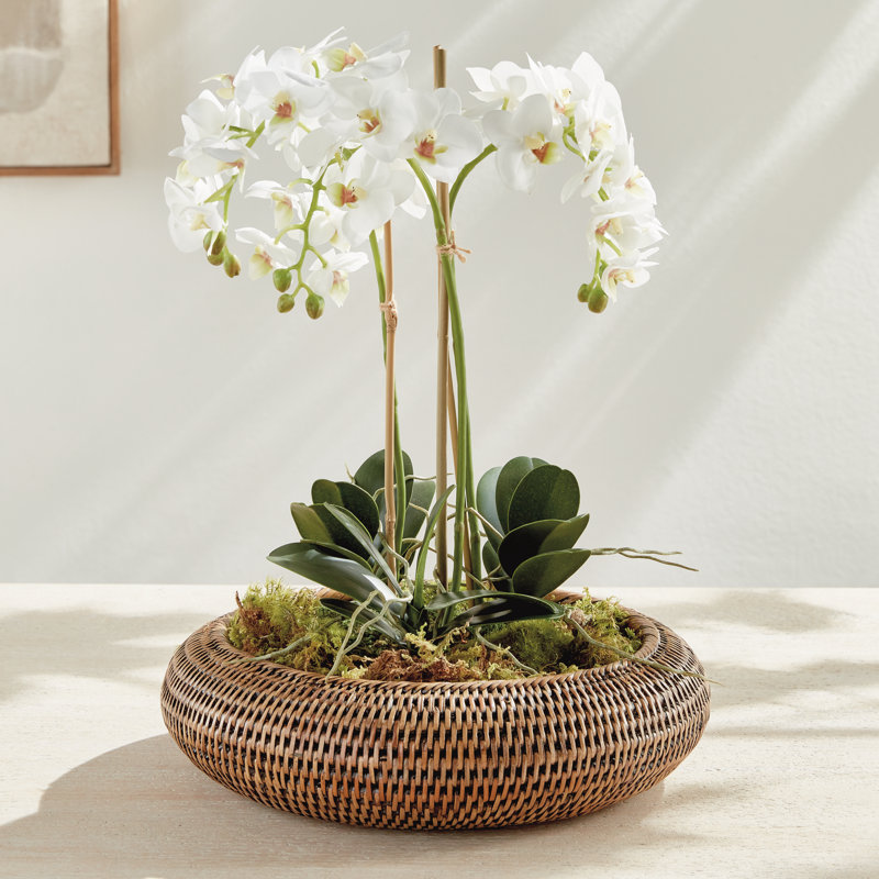 BURMA RATTAN SHALLOW DISPLAY BOWLS