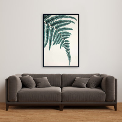 " Fern "