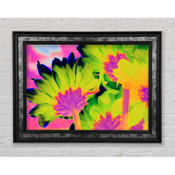 Bright Star Psychedelic Petals - Single Picture Frame Art Prints ...