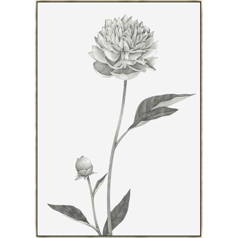 A Flower Of Day II Print by Janice Sadler, 53.5" H x 37.5" W, Image Gel Brush