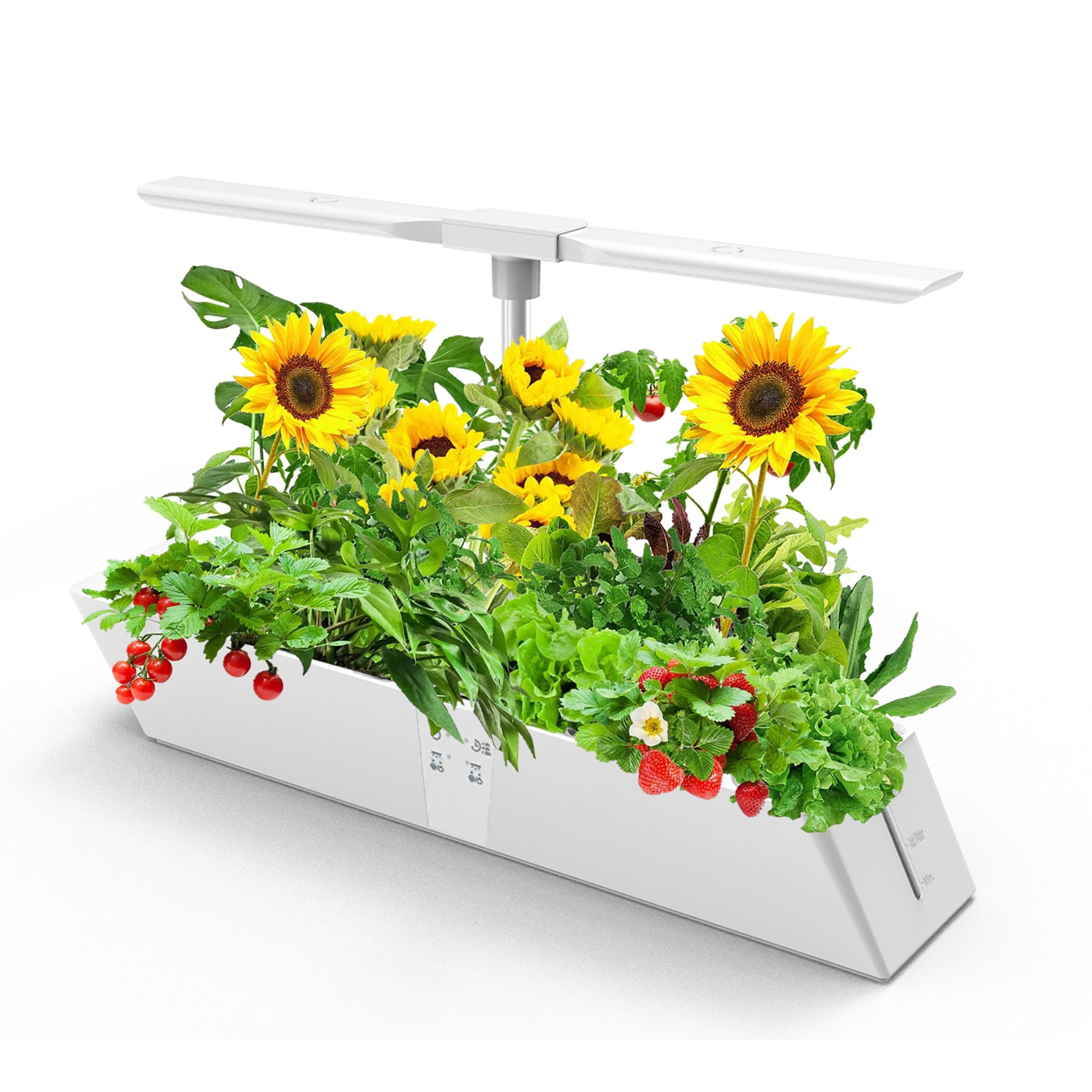 Euker 24 Watt Hydroponic Unit Herbs | Wayfair