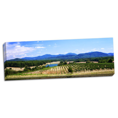 " Virginia Vineyards I " Print