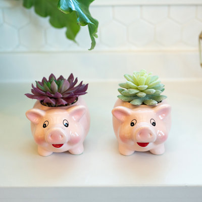 Ensemble de 2 plantes agave en céramique porcine en céramique