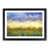 Black Framed selected