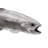 Rainbow Trout Fish Wall Décor