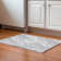 Premium Machine Washable Prisco Gray Rug