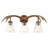  Asim Southwestern Bohemian Resin/Seeded Glass Faux Antler LED Vanity Light