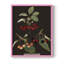 Brookshaw Cherries, reproduction encadrée - bois massif-1423037152-1423037153