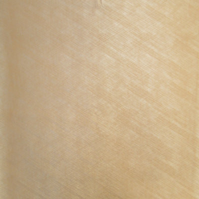 Tissu de colon