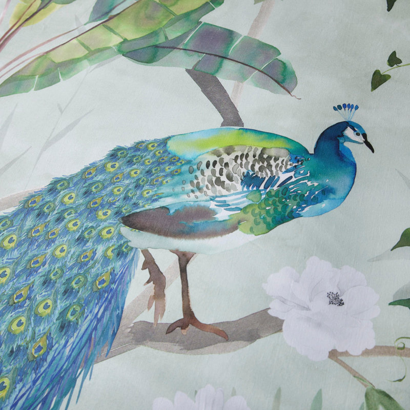 Peacock Jungle Cotton No Pattern Duvet Cover Set with Pillowcases, Super King - 2 Standard Pillowcases