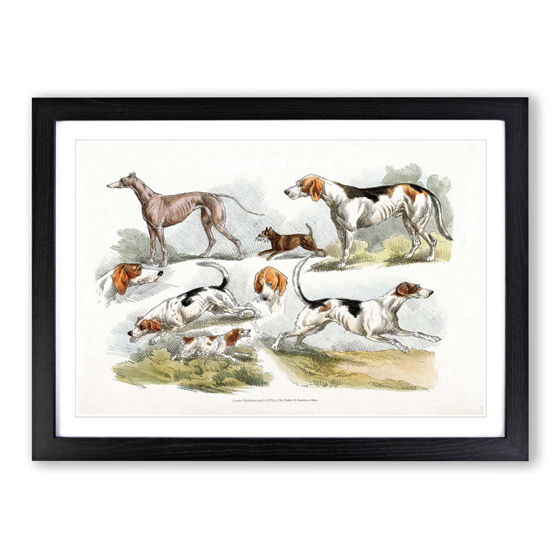 Hunting Dogs by Henry Alken - Picture Frame Painting Print, 48cm H x 65cm W x 2cm D, Black Framed