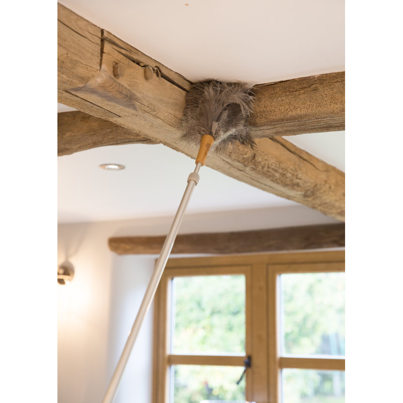 Living Nostalgia Genuine Ostrich Feather Duster with Telescopic Handle