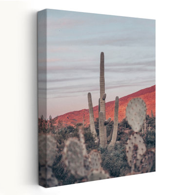 Couchers de soleil et Saguaros II - Botanicals Brown Cactus Cactus Art