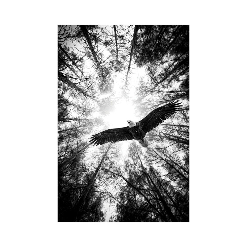«Master of Heaven Bold Eagle B&W» par Nik Rave - photographie sur toile tendue, H 18 po x l 12 po x P 1,5 po