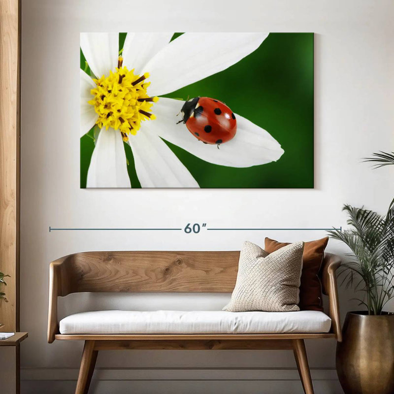 Brampt Ladybug On White Flower, 32" H x 48" W