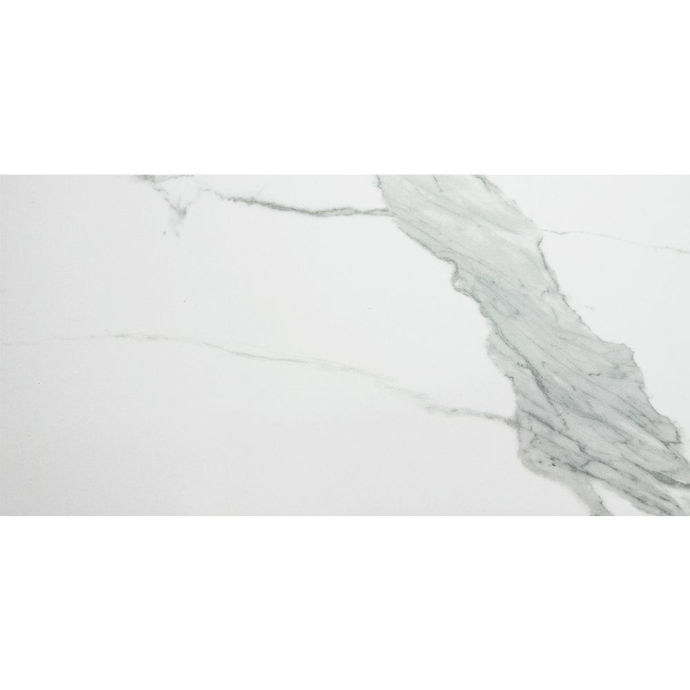 Porto 12" x 24" Porcelain Marble Look Polished Wall & Floor Tile The Tile Life 