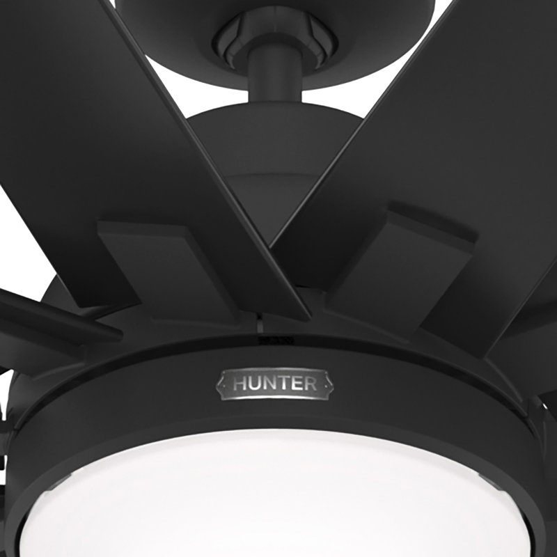 Overton 10 - Blade Standard Ceiling Fan with Wall Control and Light Kit Included, 60"