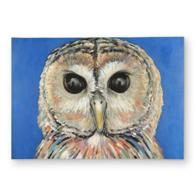 Colorful Spotted Owl - Blue Wildlife Outdoor Area Rug | Home Decor