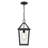Zeyuan 8.25" Wide Outdoor Hanging Lantern