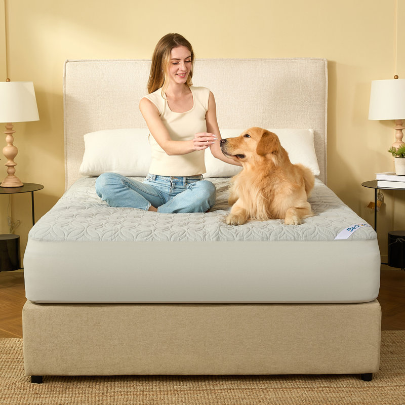 BEDLORE® Noiseless Waterproof Mattress Protector, Hypoallergenic Quilted Washable Mattress Cover, Breathable Mattress Pad with 6-18'' Deep Pocket