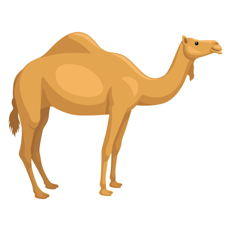 " Dromedary " by Thomas Lydell, 12" W x 12" H