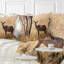 Throw Pillow-29602143-29602147