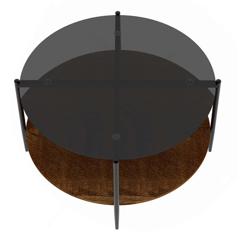 Table basse Mid-Century avec plateau de rangement en bois et structure en métal, Black
